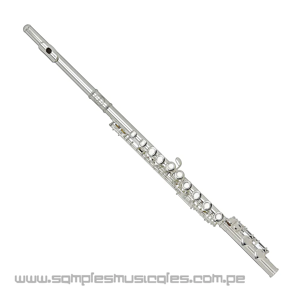 flauta traversa con estuche lona anti shock california 6456